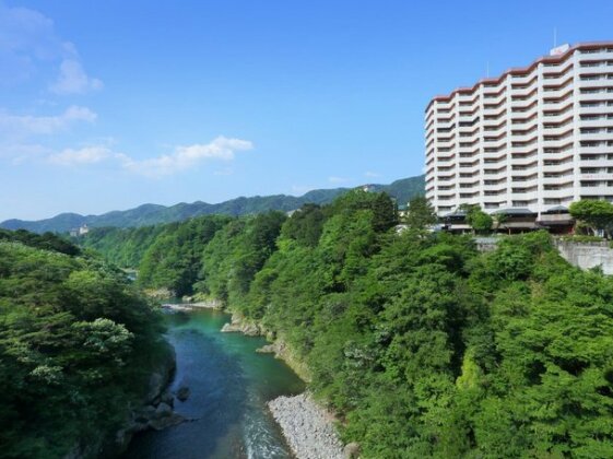 Hotel Sunshine Kinugawa Nikko - Photo3