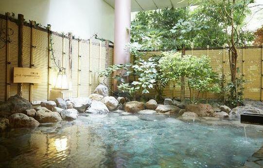 Kinugawa Onsen Hotel - Photo3