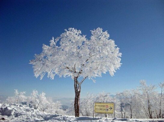 Wafu Pension Miyazawa - Photo5