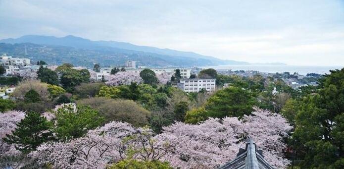 Hotel Kunimi Odawara - Photo5