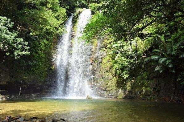 Yanbaru no mori - Photo3