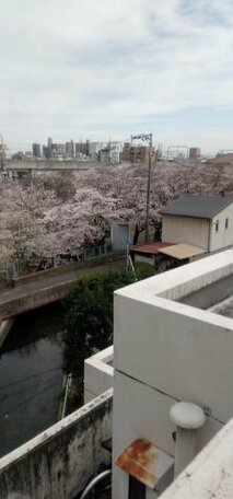 Cherry Blossom Koseicho - Photo2