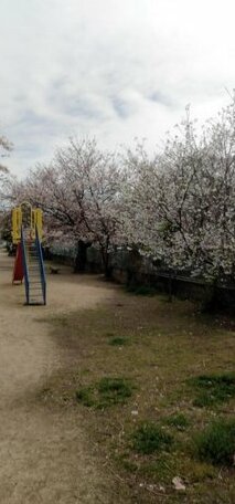 Cherry Blossom Koseicho - Photo3