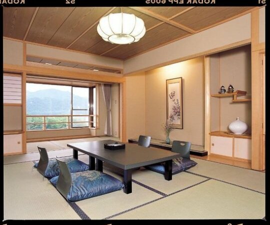 Tateyama Prince Hotel - Photo4