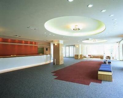 Hakuba Alps Hotel - Photo4