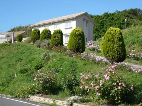 Auberge & Cafe-Bar Leo Soleil - Photo3