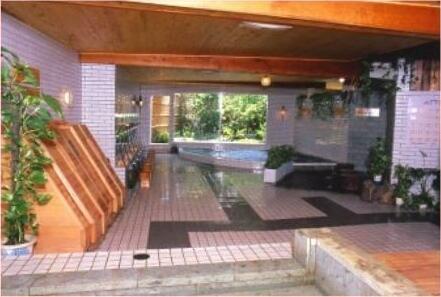 Kurhaus Ishibashi Ryokan - Photo4