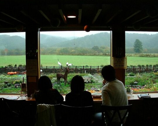 Farm Inn Tsurui - Photo4