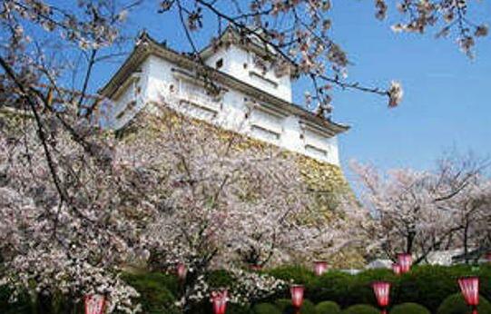 Tsuyama Kokusai Hotel