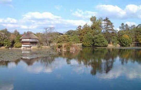 Tsuyama Kokusai Hotel - Photo4