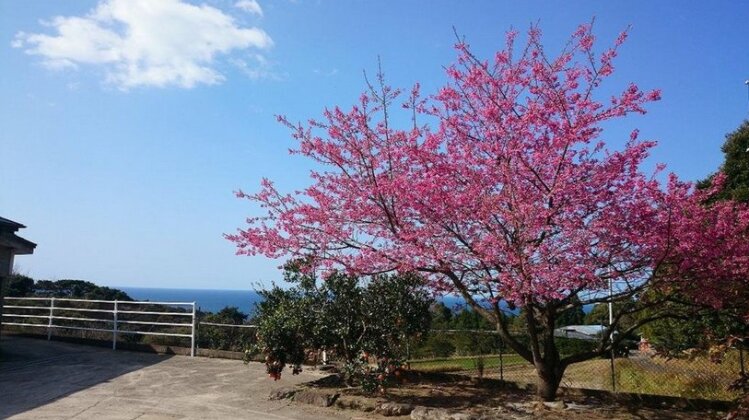 Maedakeso - Photo5