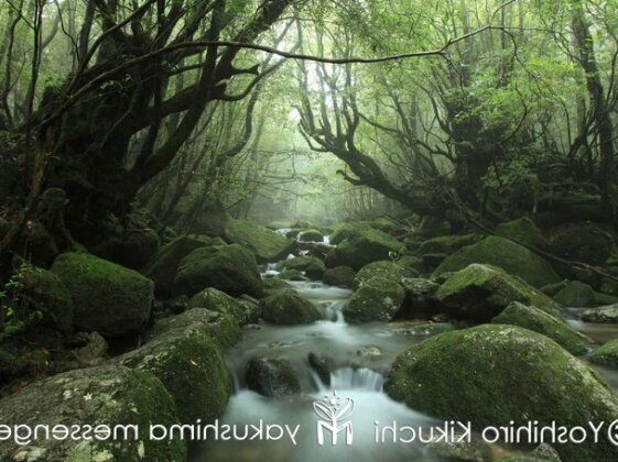 Oyado Tsuruya - Photo5