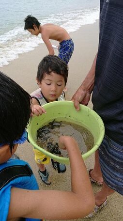 Yakushima Deaf Farm - Photo4