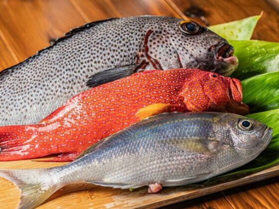Yakushima Umi no Cottage Tida - Photo2