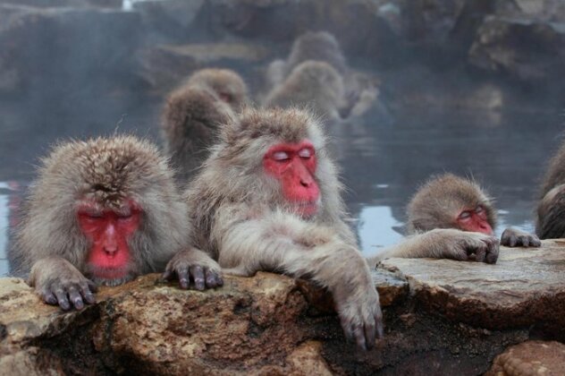 Yudanaka Shibu Onsen-Kyo Suimei