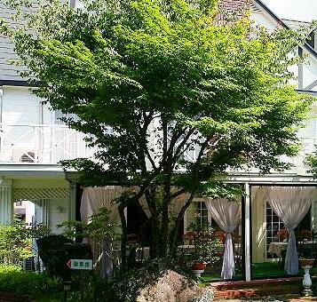 Spa Lodge Shiroi Branco - Photo2