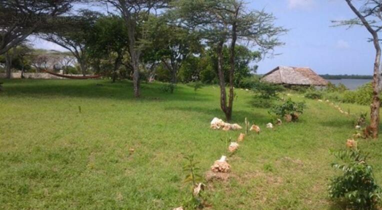 Tranquillity Camp - Photo3