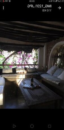 Wildebeeste Lamu - Photo3