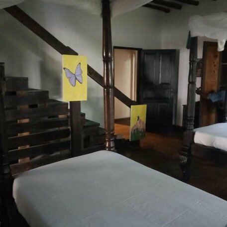 Diamond home 004 - Photo5