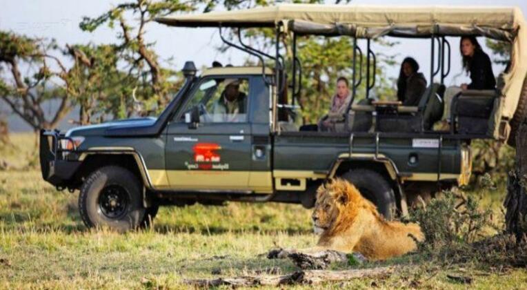 Elephant Pepper Camp - Photo3