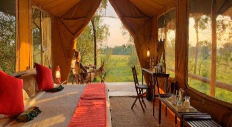 Elephant Pepper Camp - Photo4