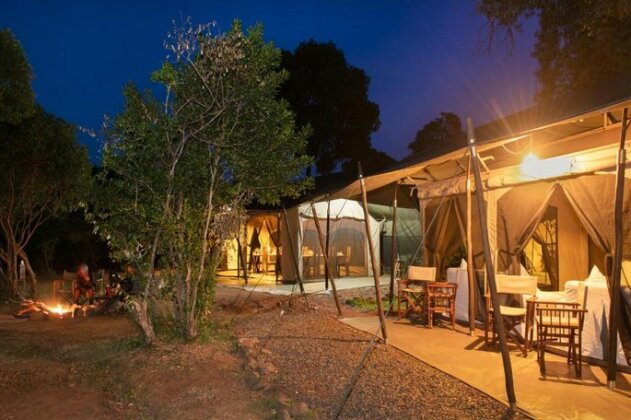 Hammerkop Migration Camp - Photo3