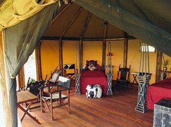 Kilima Camp - Photo3