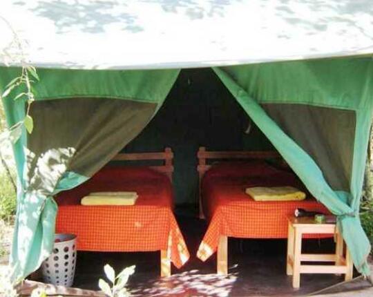Mara Explorer Tented Camp - Photo3
