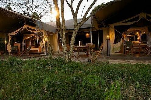 Mara Intrepids Tented Camp - Photo2