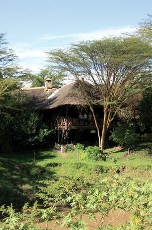 Mara Simba Lodge - Photo3