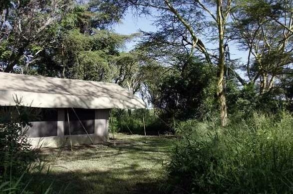 Mara Sokonoi Camp