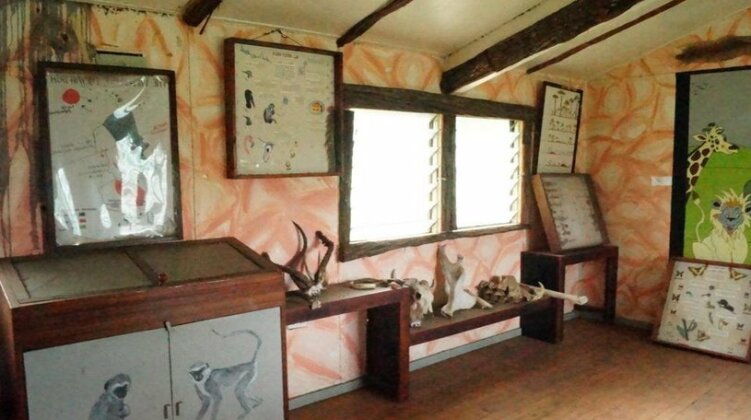 Siana Springs - Photo3