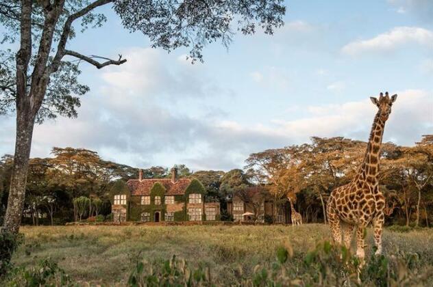 Giraffe Manor Hotel Nairobi - Photo3