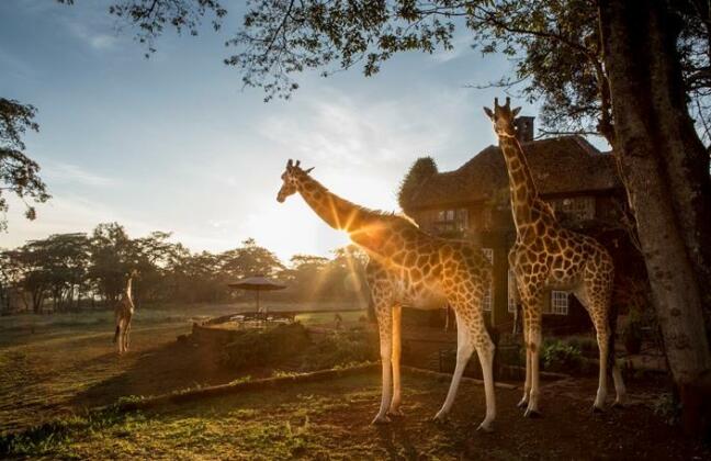 Giraffe Manor Hotel Nairobi - Photo4