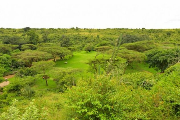 Masai Lodge - Photo2