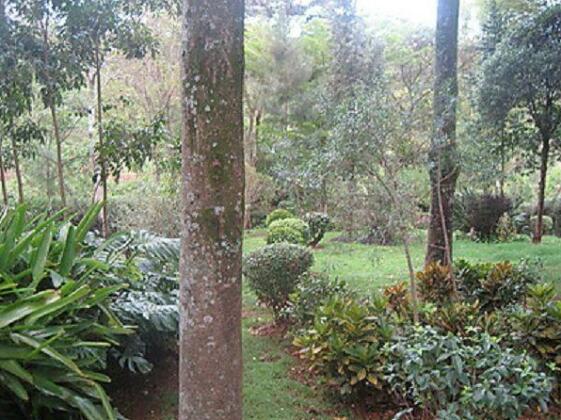 Twiga Gardens Guest House - Photo5