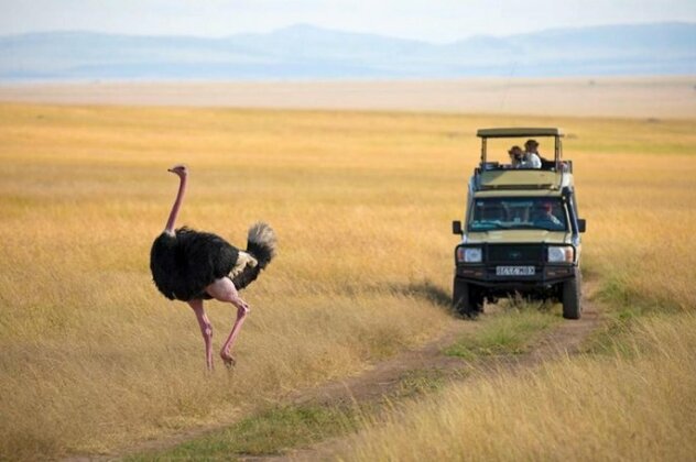 Mara Big Five Camp - Photo2