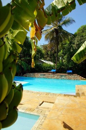 Jamboland-Diani - Photo2