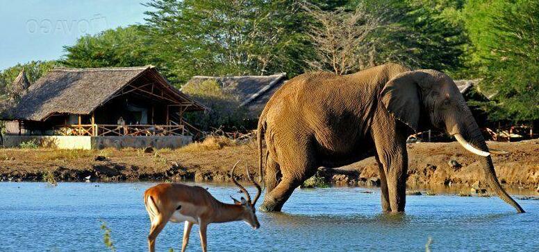Satao Camp Tsavo East - Photo2