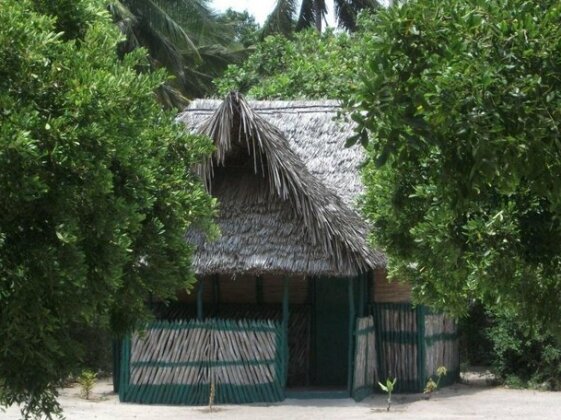 Mida Creek Eco Camp - Photo2