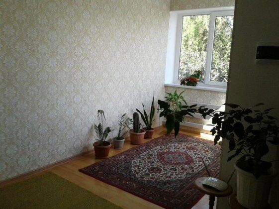 Guest house Semeynyi - Photo2