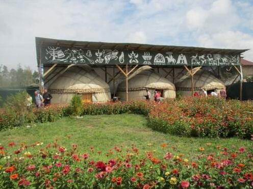 Happy Nomads Yurt Camp & Hostel - Photo2