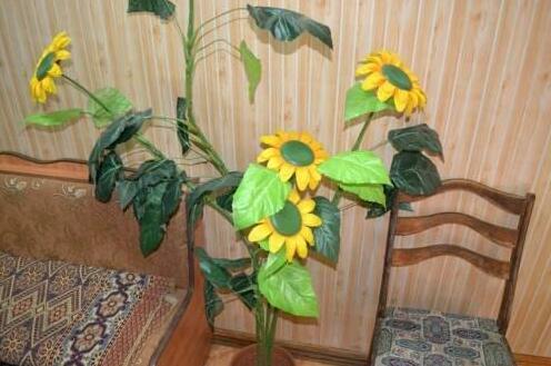 Issyk-Ata Guest House - Photo5