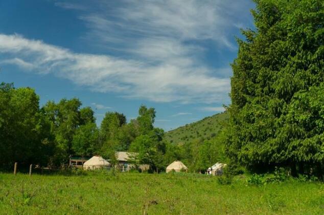 Kara-Kyz Yurt Camp - Photo4