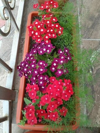 Guest House EtnoDom - Photo3