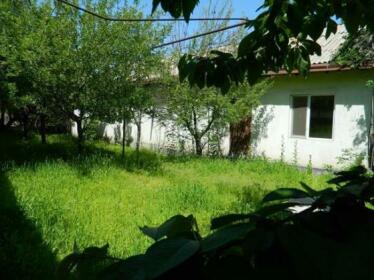Hostel Oshbackpackers