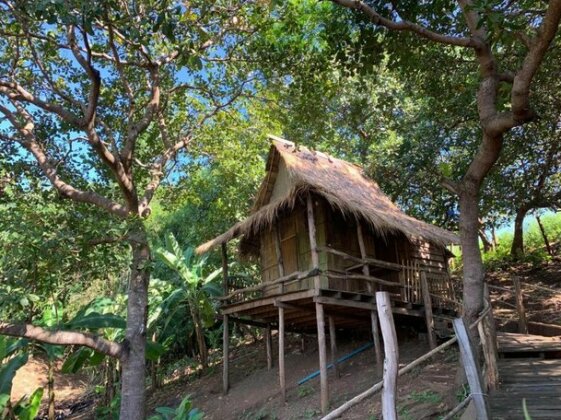 Tree Lodge Banlung - Photo3