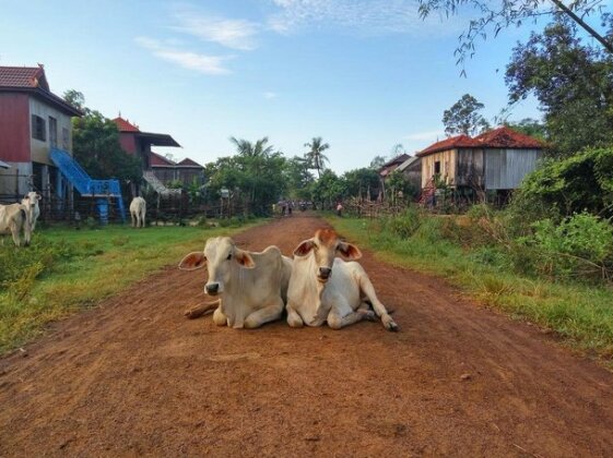 OBT Homestay Chiro - Photo3
