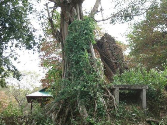 Isanborei Homestay 9 - Photo3