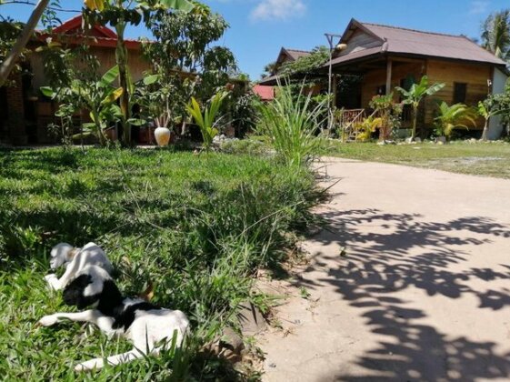 The Hidden Oasis Bungalows - Photo5